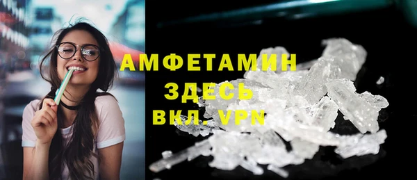 стаф Каменка