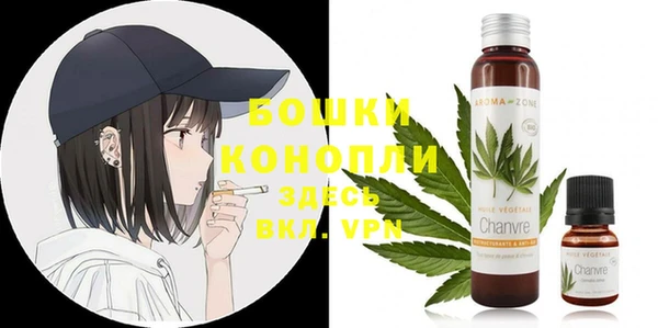 соль ск Касимов