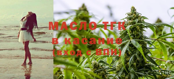 стаф Каменка