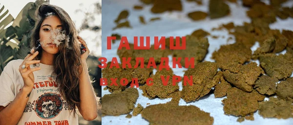 стаф Каменка