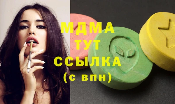 стаф Каменка