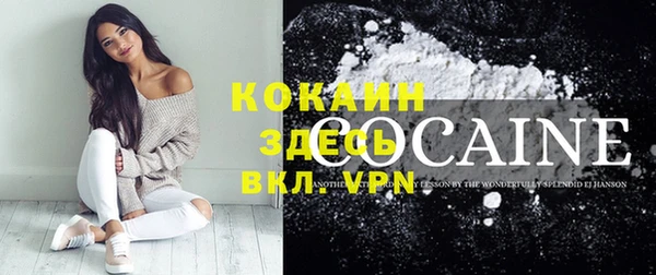 стаф Каменка