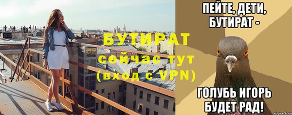 стаф Каменка